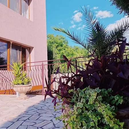 Zen Homestay *